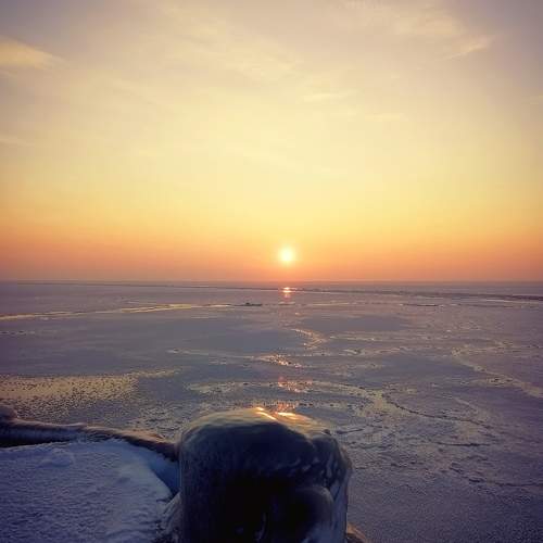 Photo #7348968