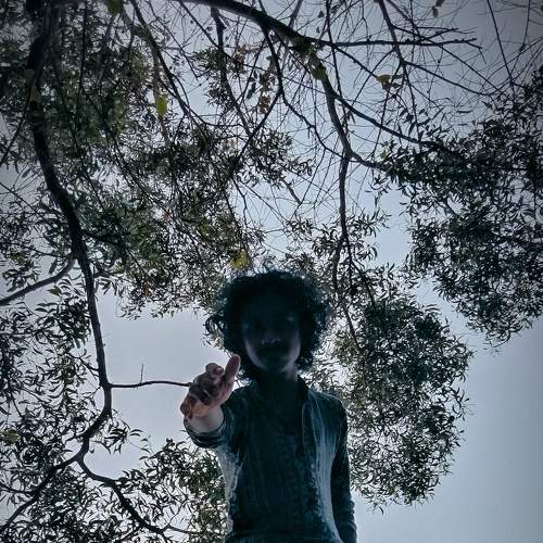Photo #7349177