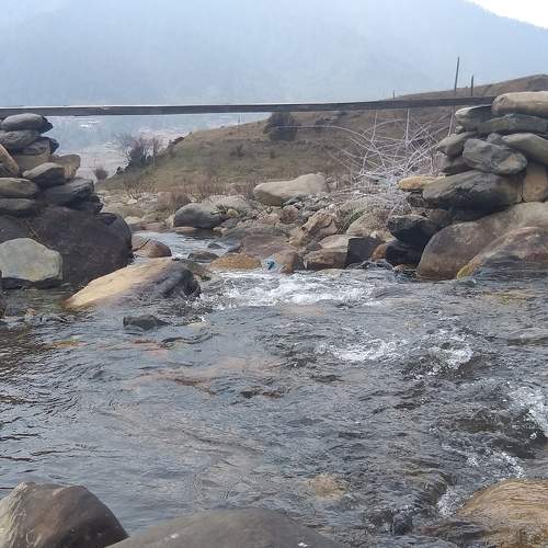 Photo #7349244