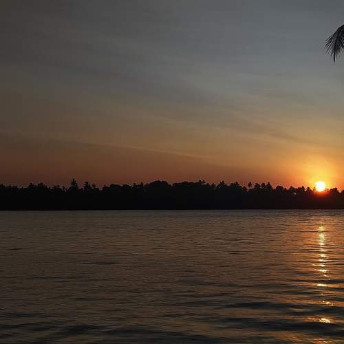 Photo #7349350