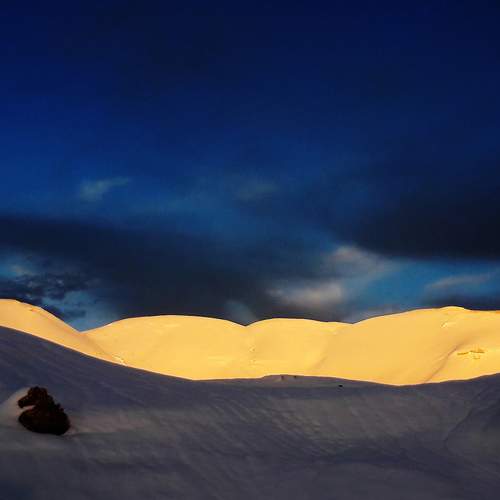 Photo #7349498
