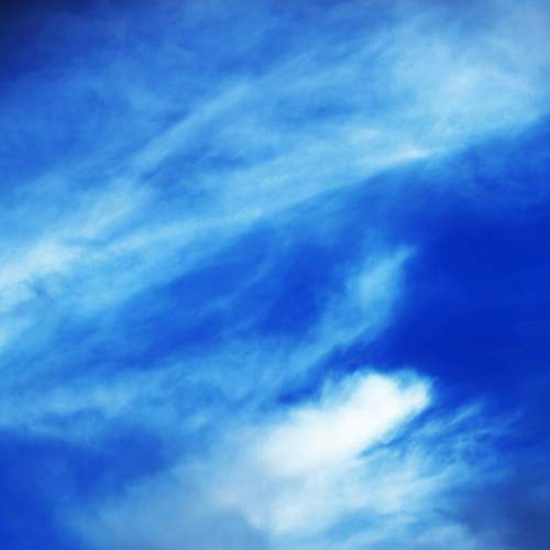 Photo #7349499