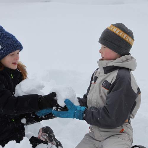 Photo #7349562