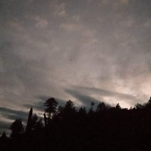 Photo #7349596