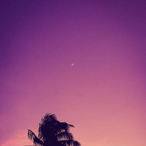 Waxing Crescent