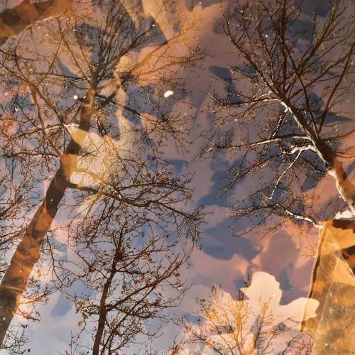 Photo #7349938