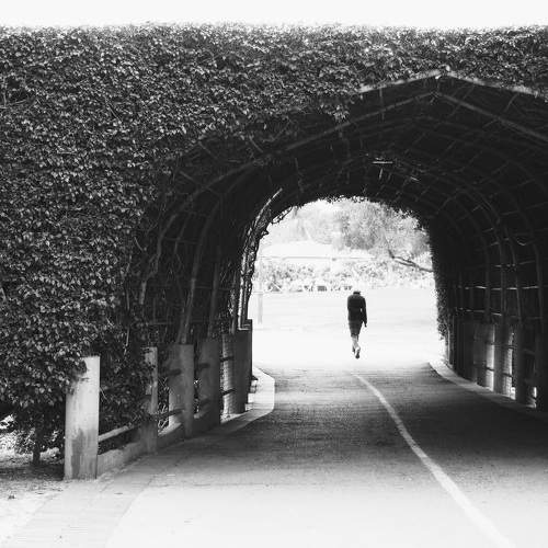 Photo #7350110