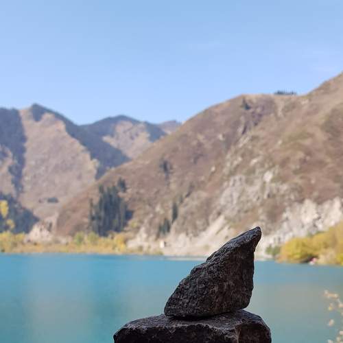 Photo #7350111