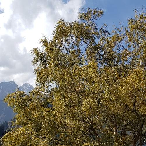 Photo #7350127