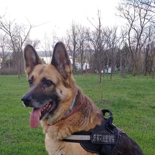 Photo #7350198