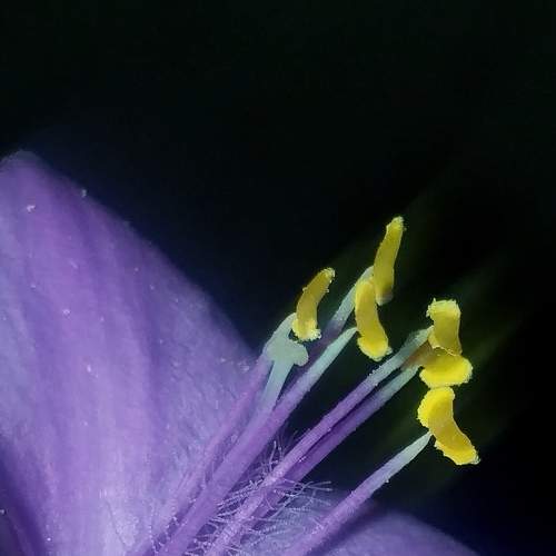 Photo #7350255