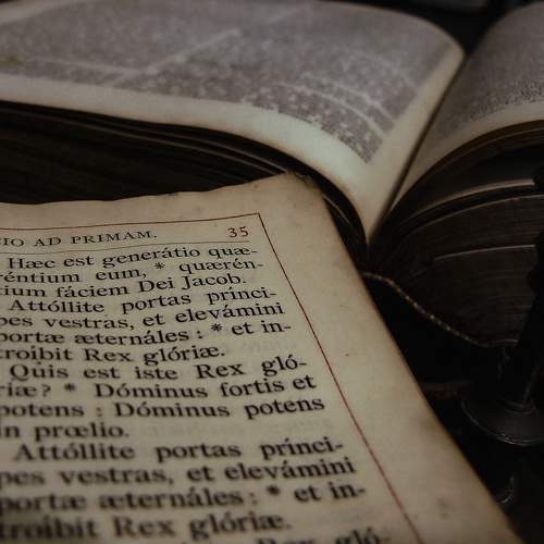 Photo #7350300