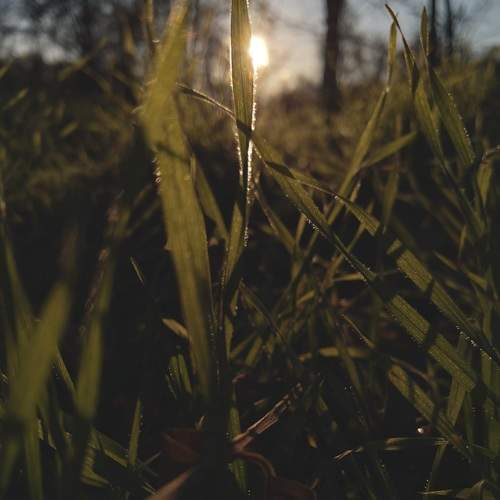 Photo #7350407