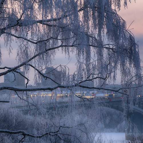 Photo #7350560