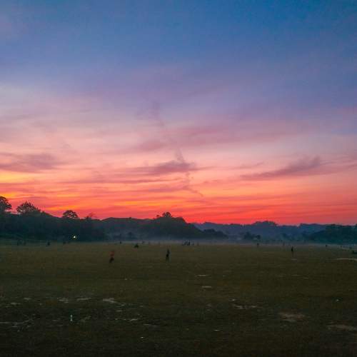 Photo #7350644