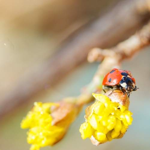 Photo #7350785