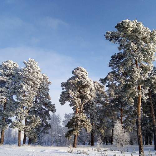 Photo #7350801