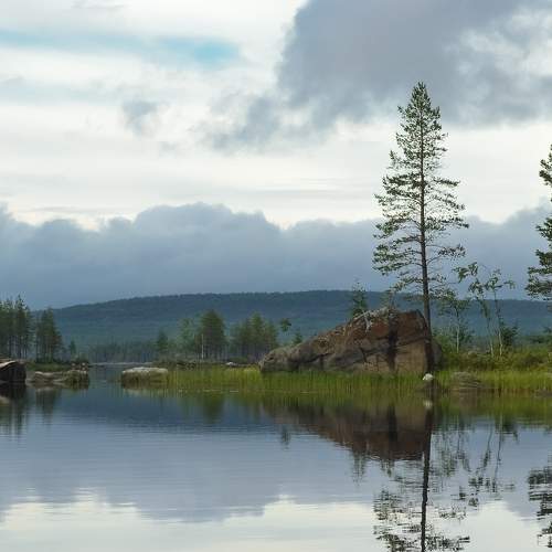 Photo #7350855