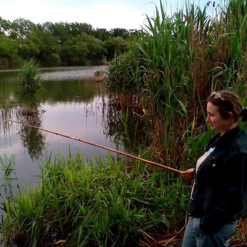 Photo #7350964