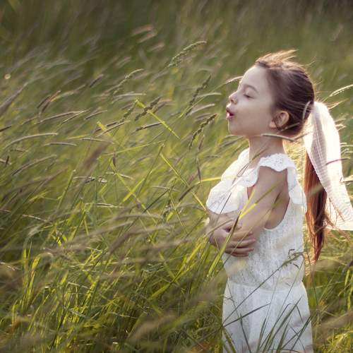 Photo #7350966