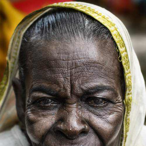 Photo #7351031