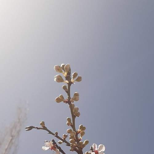 Photo #7351110