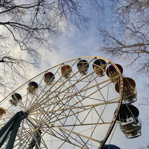Photo #7351157