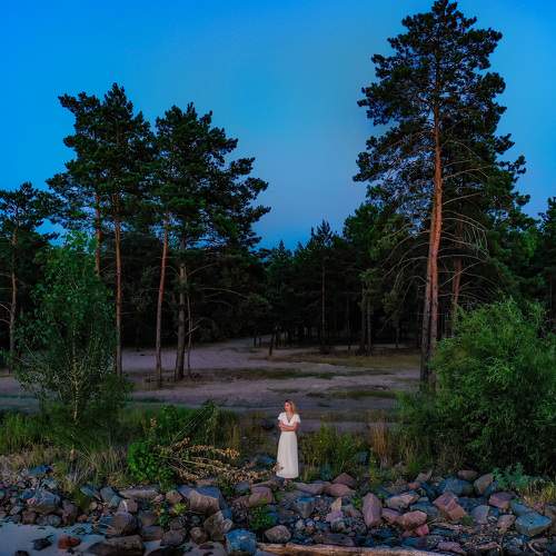 Photo #7351275