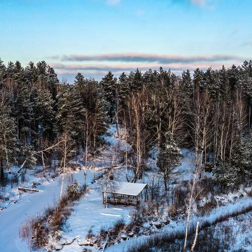 Photo #7351346