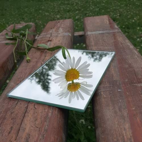 Photo #7351501