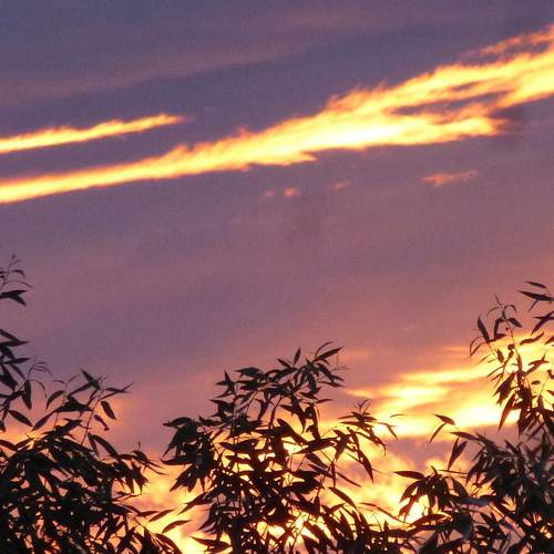 Photo #7351520