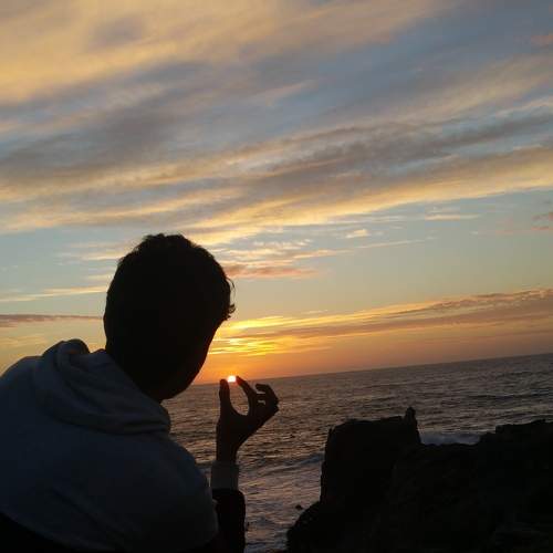Photo #7351871