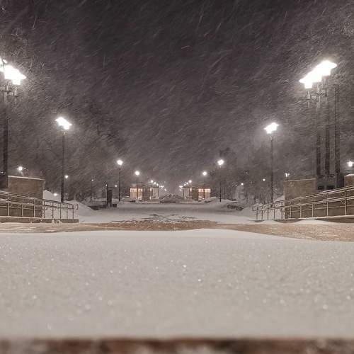 Photo #7352015