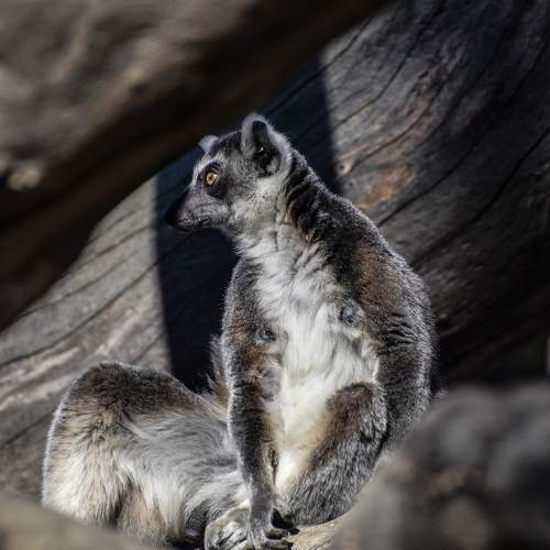 Photo #7352064