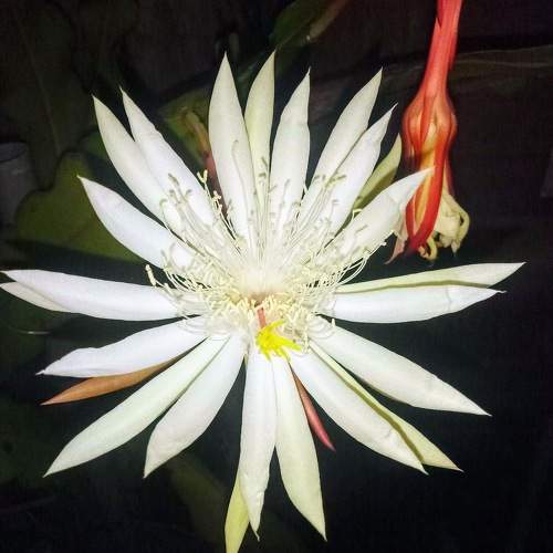 Photo #7352121