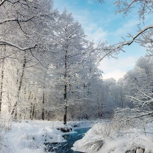 Photo #7352169