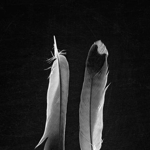Photo #7352212