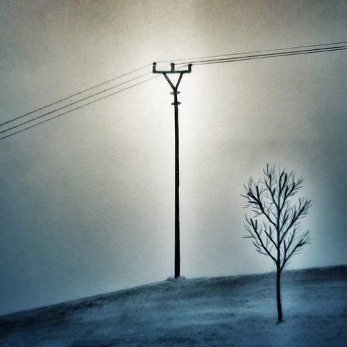 Photo #7352308