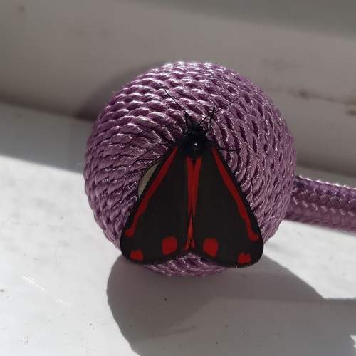 Photo #7352414