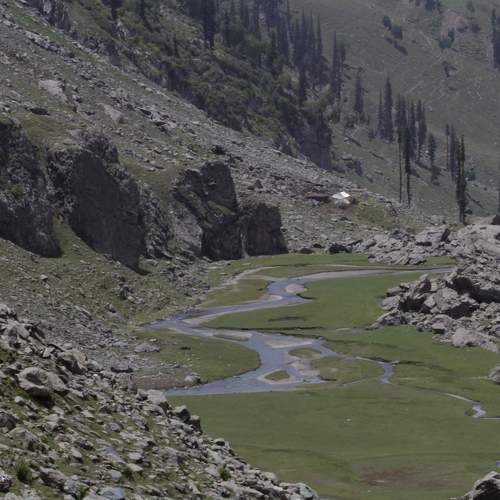 Photo #7352684
