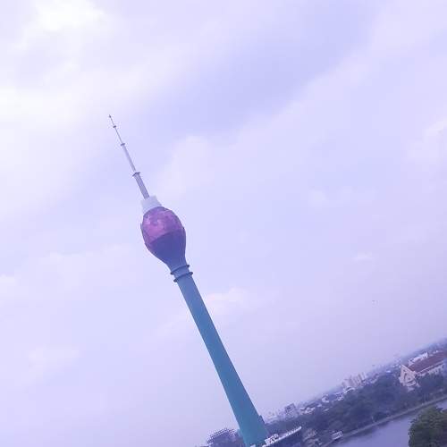 Photo #7352702