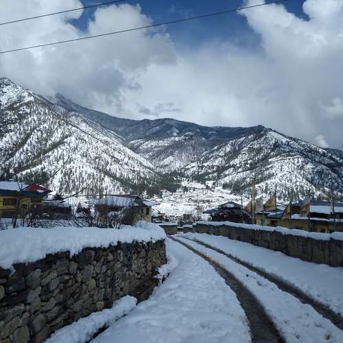 Photo #7352832