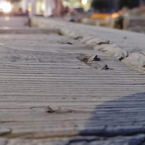 Photo #7352848