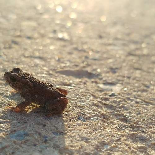 Photo #7352849