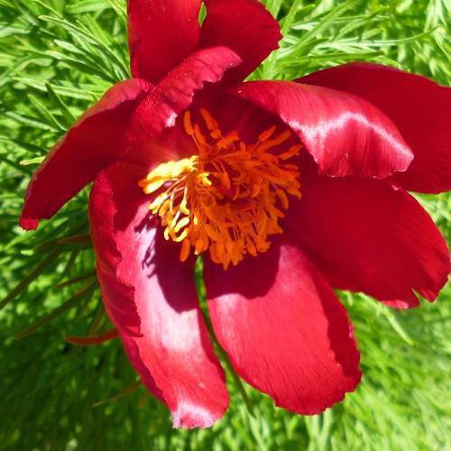 Photo #7352919