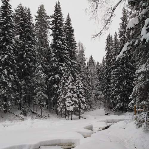Photo #7353137