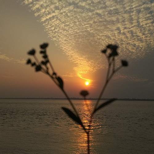 Photo #7353221