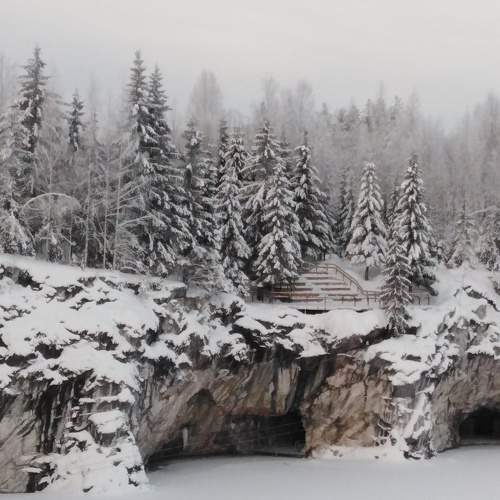 Photo #7353450