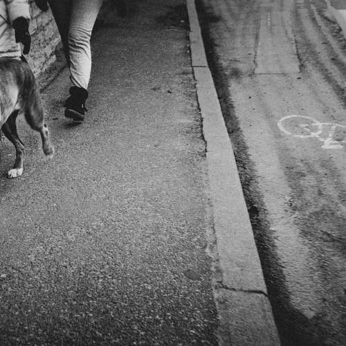 Photo #7353598
