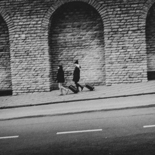 Photo #7353706